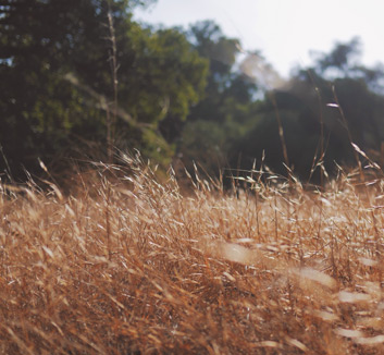 寞寞无名之辈草木皆兵，扭转战局令人意外